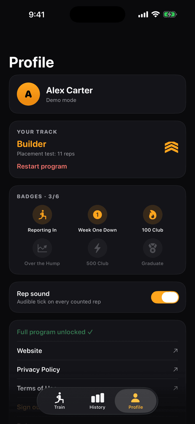 Profile with the badges grid showing earned milestones
